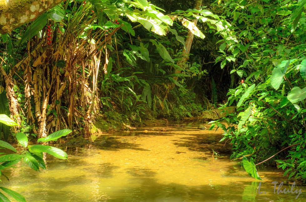 Paria river, Trinidad