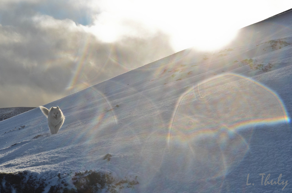 schiehallion, Scotland