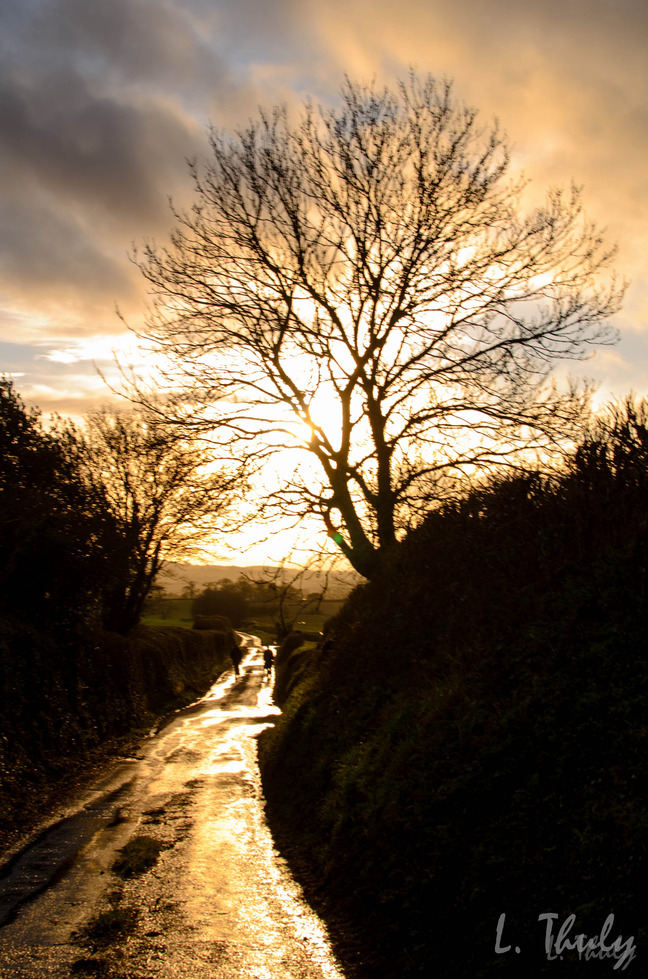 Devon, England